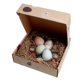 A Dozen Bird Eggs in a Box Toy