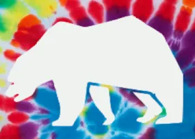 Bear on Tie Dye - Removable Patch