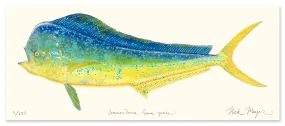 Bull Dorado/ Mahi Masterwork Canvas