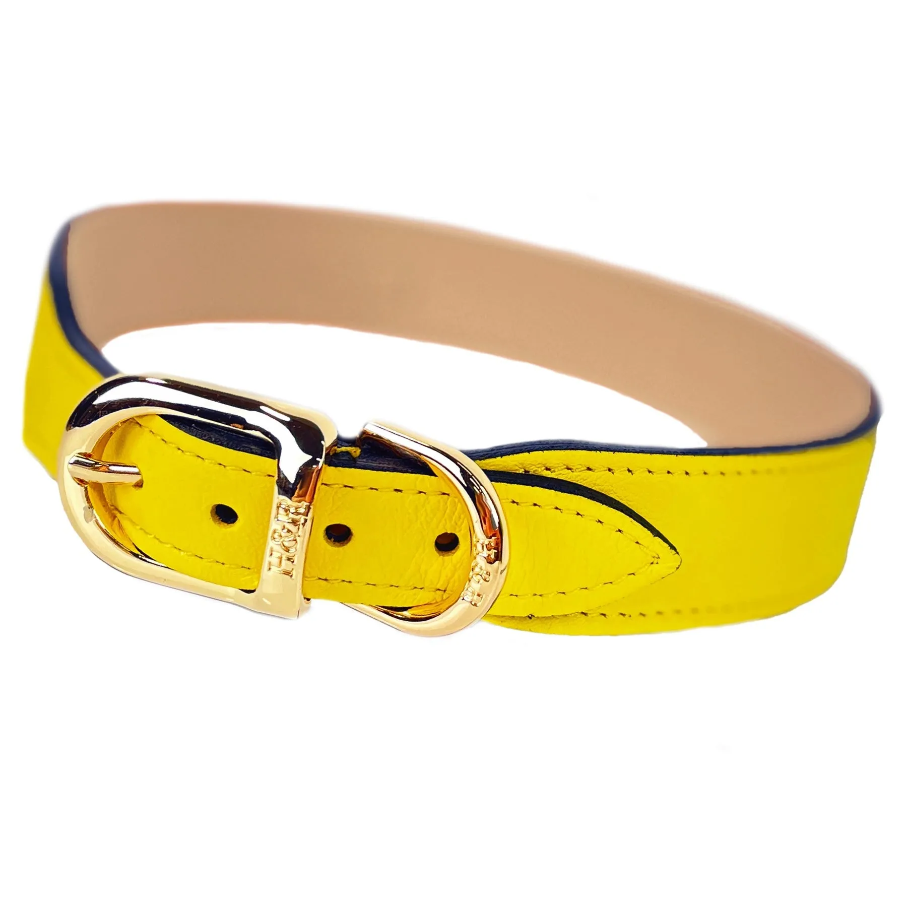 Daisy Dog Collar in Canary Yellow, Jonquil Crystals & Gold