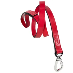 Daisy Dog Leash in Ferrari Red & Nickel