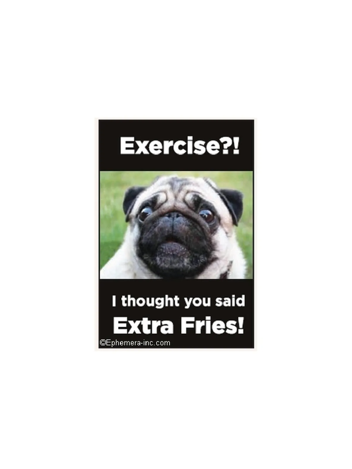 Exercise?! Pug Magnet