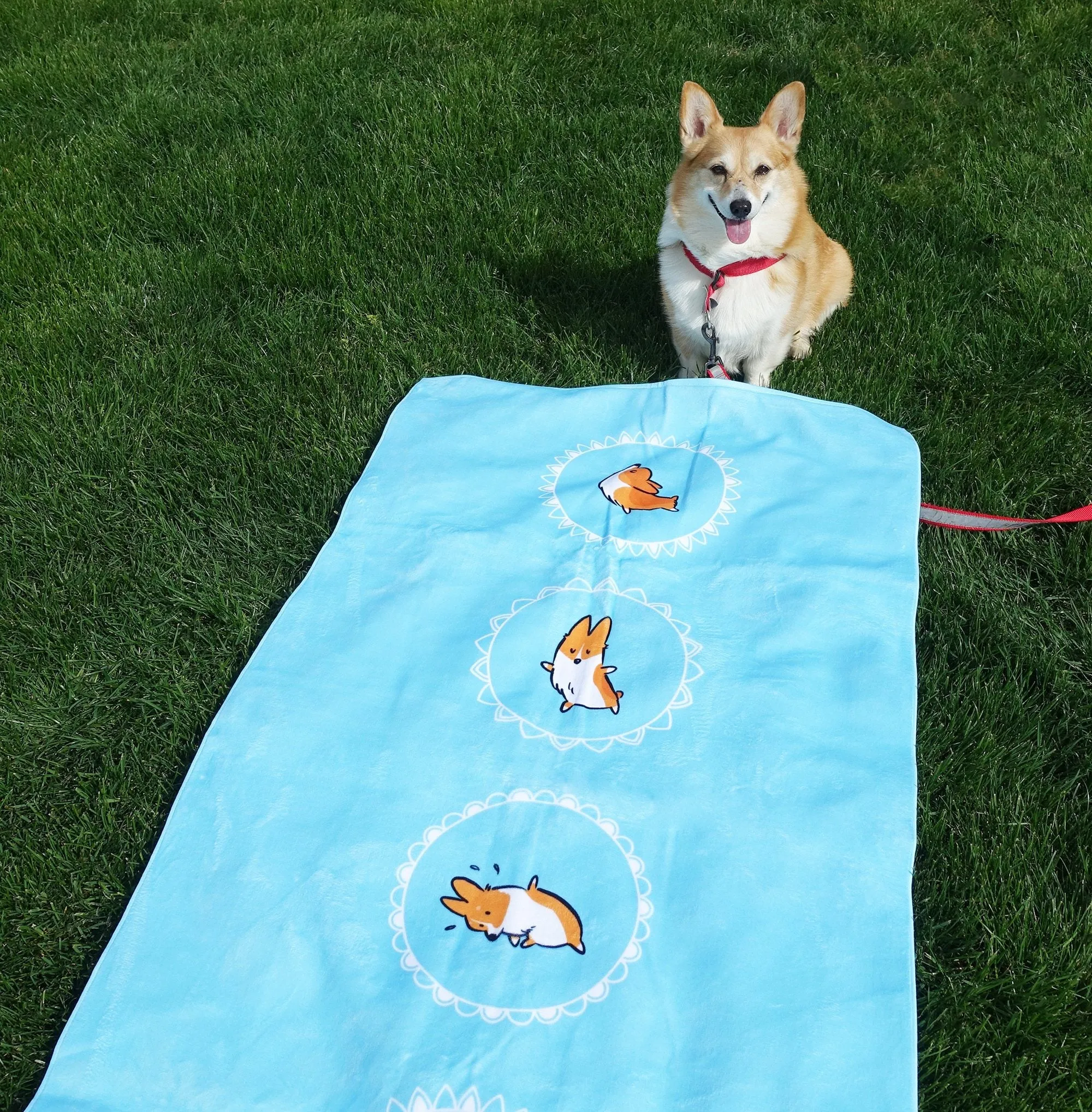 Namaste Corgi Beach Towel