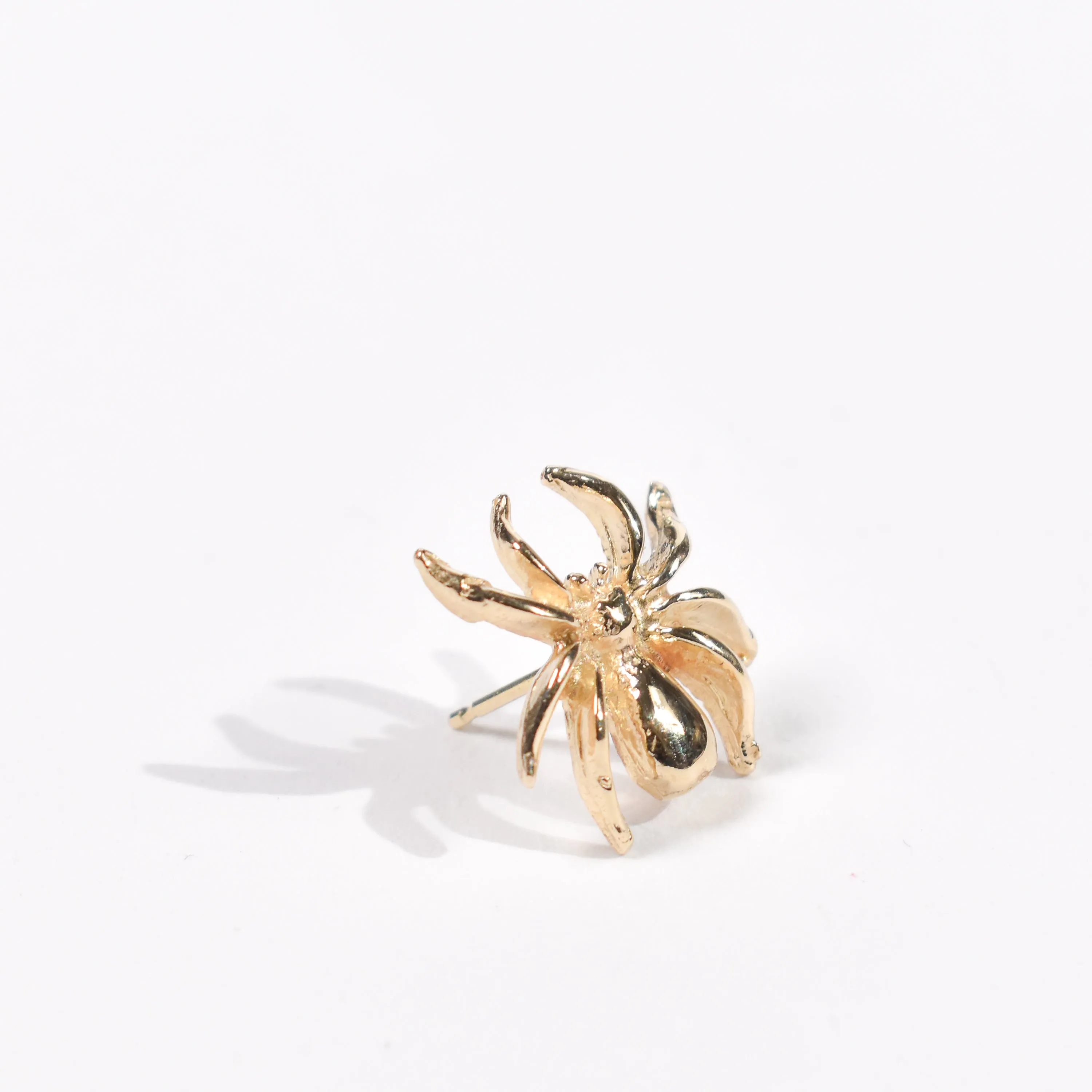 Stud Earring • Spider  14k yellow gold