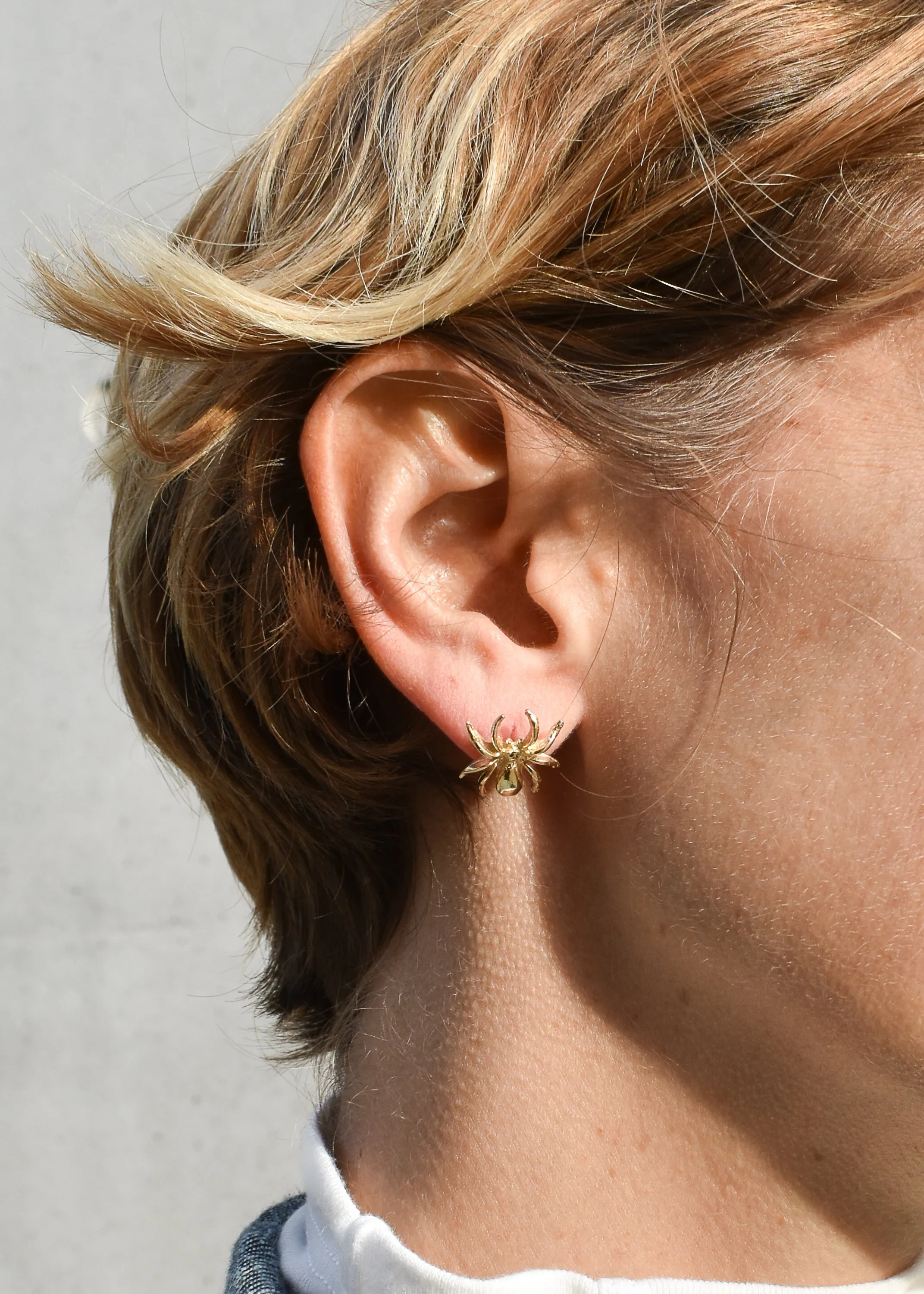 Stud Earring • Spider  14k yellow gold