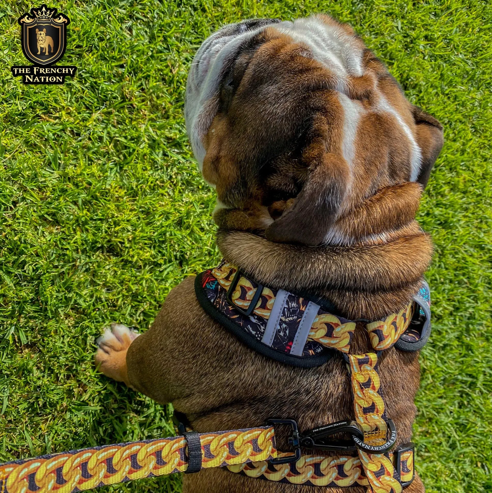 ✨NEW✨ “King of farts “ Bulldog Adjustable Harness ✨Bulldog Collection ✨